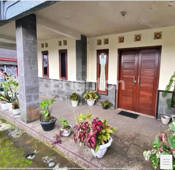 image RUMAH BAGUS MURAH JUAL CEPAT POROS JLN STRATEGIS DI PASURUAN (6)