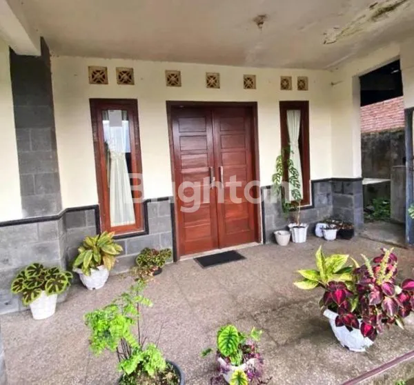image RUMAH BAGUS MURAH JUAL CEPAT POROS JLN STRATEGIS DI PASURUAN (5)