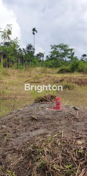 image TANAH WISATA (7)