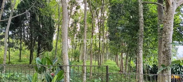 image LIMITED! TANAH 0 JALAN RAYA, VIEW GUNUNG, DI CIAPUS BOGOR (4)