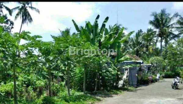 image JUAL TANAH LOKASI MENGWI (3)