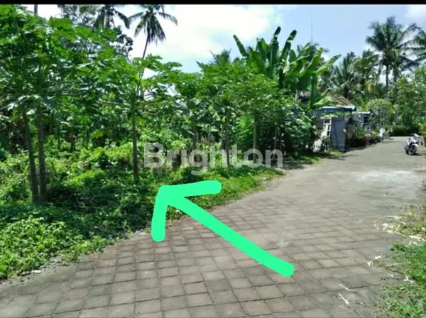 image JUAL TANAH LOKASI MENGWI (1)