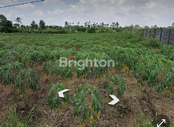 image TANAH 2HA BUNGA RAMPAI 2 SIMALINGKAR MEDAN TUNTUNGAN  (1)