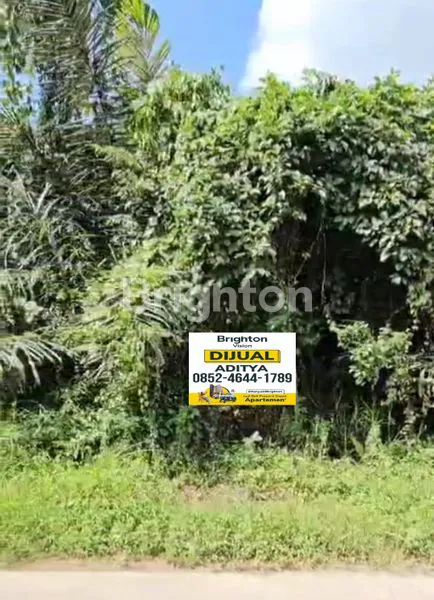 image TANAH DIJUAL  (1)