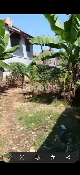 image TANAH PREMIUM JL. RAYA CIKEAS 392M² - LOKASI BISNIS POTENSIAL (5)