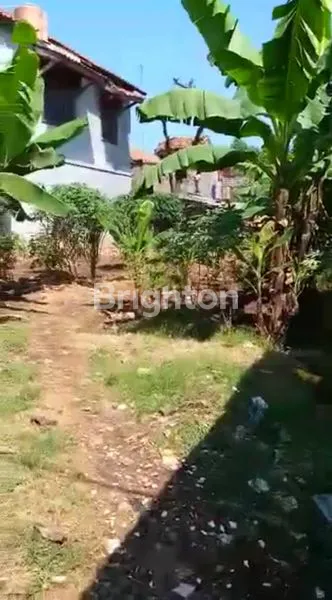 image TANAH PREMIUM JL. RAYA CIKEAS 392M² - LOKASI BISNIS POTENSIAL (3)