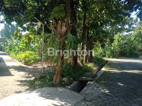 image TANAH LUAS DI JALAN UTAMA KOTA BANTUL  (3)