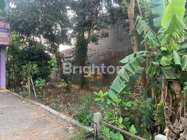 image TANAH LUAS DI JALAN UTAMA KOTA BANTUL  (4)