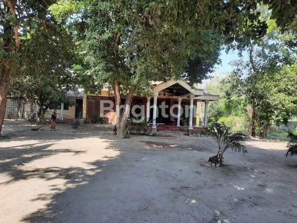 image LOKASI DEKAT PONDOK PESANTREN GONTOR 3. AREA PADAT PENDUDUK (2)