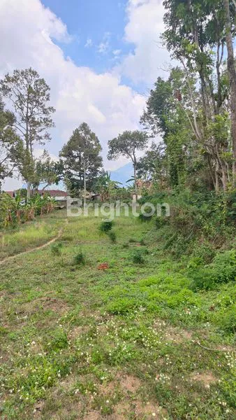 image VILLA BONUS TANAH PRODUKTIF COCOK UNTUK INVESTASI (4)