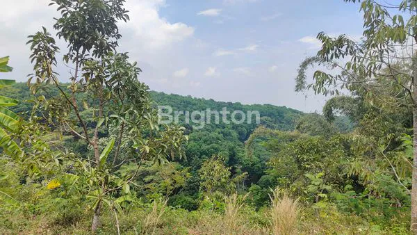 image VILLA BONUS TANAH PRODUKTIF COCOK UNTUK INVESTASI (6)