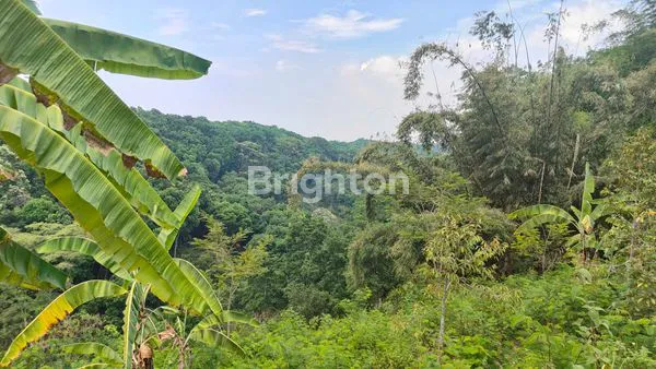 image VILLA BONUS TANAH PRODUKTIF COCOK UNTUK INVESTASI (7)