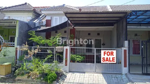 image SIAP HUNI MURAH (1)