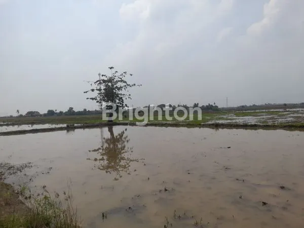 image HOT LISTING TANAH 3 HA  (6)