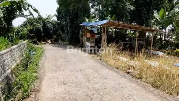 image TANAH RUMAH KEBUN 2604M2 SHM IMB CIANJUR (3)