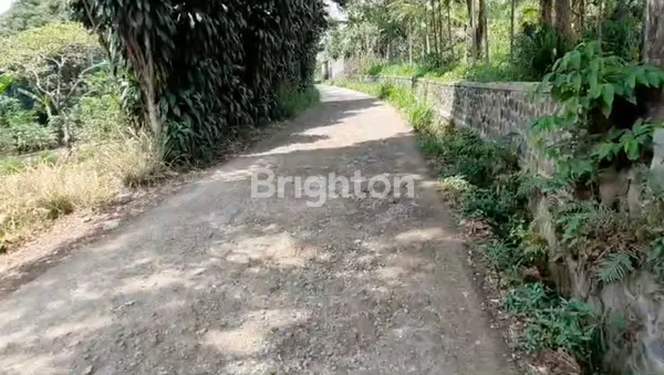 image TANAH RUMAH KEBUN 2604M2 SHM IMB CIANJUR (4)