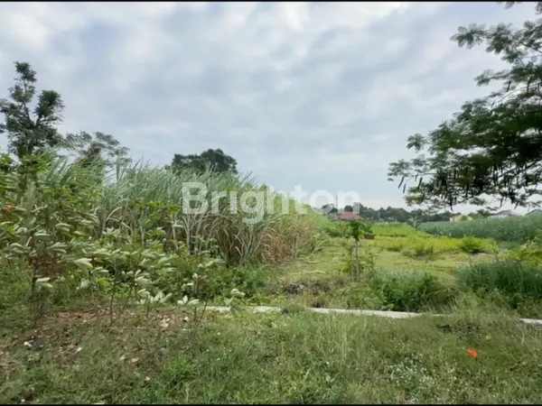 image TANAH KOSONG DI PUSAT KEDIRI – SEMPURNA UNTUK RUKO! (3)