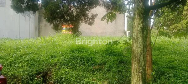 Gambar Property TANAH SETRA DUTA