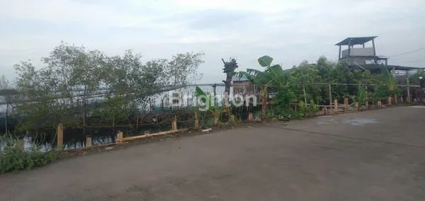 image TANAH MURAH DEKAT JATENG LAND INDUSTRIAL PARK SAYUNG (3)