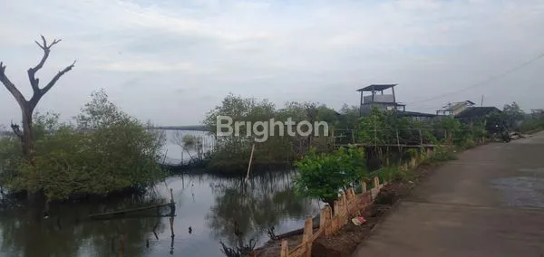 image TANAH MURAH DEKAT JATENG LAND INDUSTRIAL PARK SAYUNG (7)