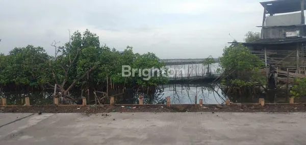 image TANAH MURAH DEKAT JATENG LAND INDUSTRIAL PARK SAYUNG (6)