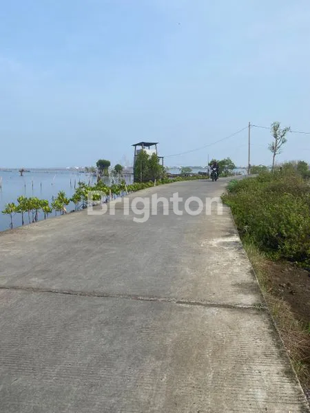 image TANAH MURAH DEKAT JATENG LAND INDUSTRIAL PARK SAYUNG (8)