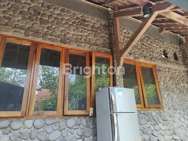 image MOJOPURNO  (7)