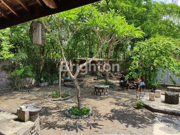 image MOJOPURNO  (6)