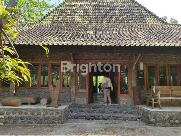 image MOJOPURNO  (1)