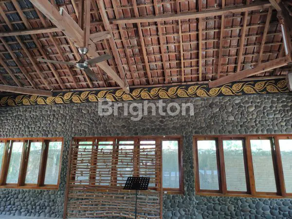 image MOJOPURNO  (2)