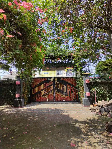 image MOJOPURNO  (3)