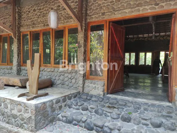 image MOJOPURNO  (4)