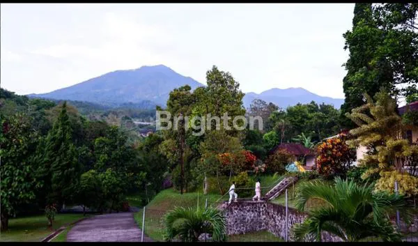 image VILLA MURAH DI PRIGEN PASURUAN (1)
