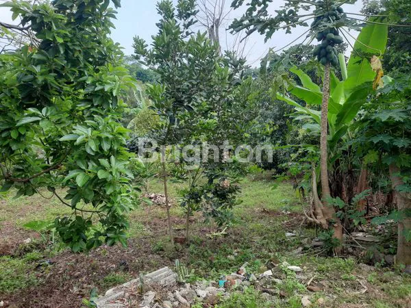 image RUMAH STRATEGIS LUAS TANAH 670 LUAS BANGUNAN 250M2 (3)