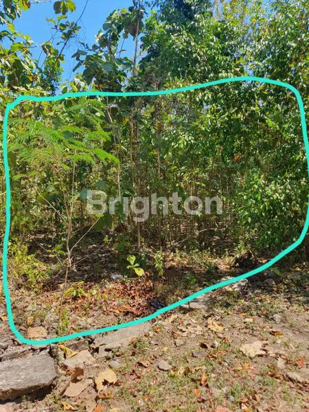 image TANAH MURAH DAN STRATEGIS DI PAJANGAN (5)