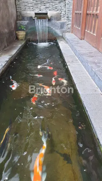 image RUMAH MINIMALIS KUALITAS VILLA (3)