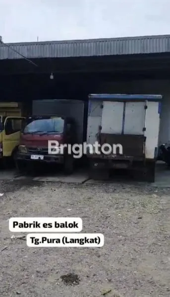 image PABRIK ES BALOK AKTIF (3)