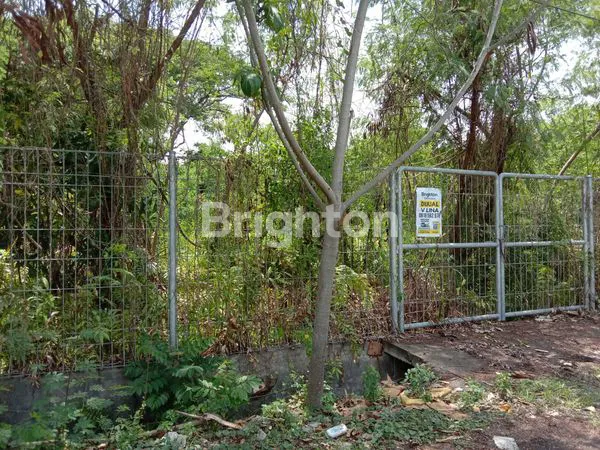 image KAVLING KEPUTIH DEKAT ITS, PAKUWON CITY, 100 METER KE JALAN RAYA (4)