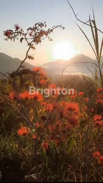 image TANAH PERKEBUNAN AREA KINTAMANI BATUR (3)