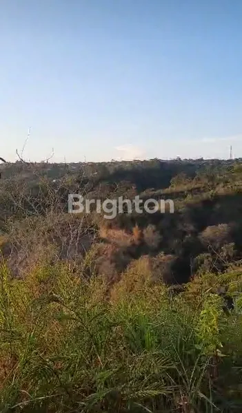 image TANAH PERKEBUNAN AREA KINTAMANI BATUR (1)