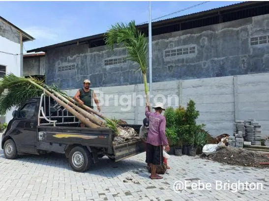 image GUDANG DI KEDONDONG NGANJUK (13)