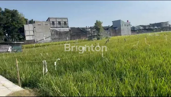 image SAWAH TENGAH KOTA (2)