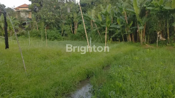 image TANAH DENGAN LOKASI NYAMAN, UDARA ADEM, COCOK UNTUK VILLA (1)