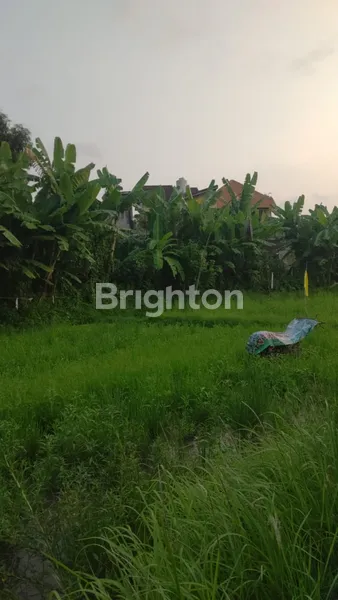 image TANAH DENGAN LOKASI NYAMAN, UDARA ADEM, COCOK UNTUK VILLA (2)