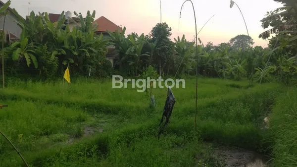 image TANAH DENGAN LOKASI NYAMAN, UDARA ADEM, COCOK UNTUK VILLA (4)