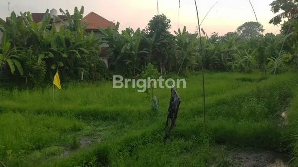 image TANAH DENGAN LOKASI NYAMAN, UDARA ADEM, COCOK UNTUK VILLA (5)