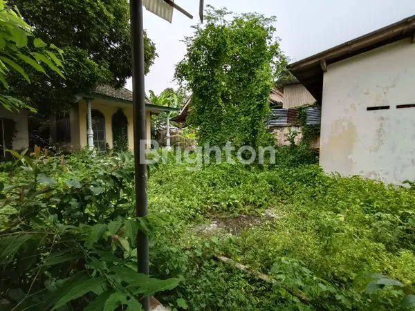 image RUMAH DALAM KOTA LUMAJANG (7)