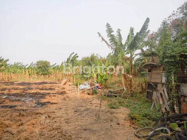 image TANAH CENGKARENG LUAS 16600 M2 DI LINGKAR LUAR CENGKARENG TIMUR JAKARTA BARAT SUDAH ADA IJIN IMB 1 SERTIPIKAT TANAH PADAT ZONA UNGU HANYA 500 METER DARI POLSEK CENGKARENG (2)