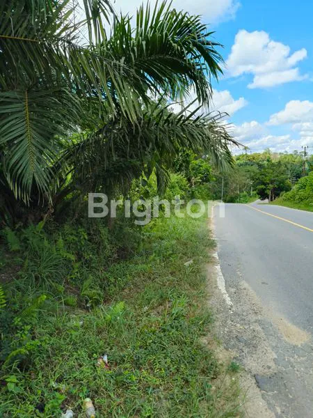 image TANAH DIJUAL RING 3 (2)