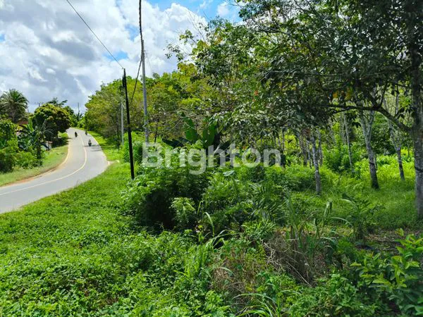 image TANAH DIJUAL RING 3 (1)